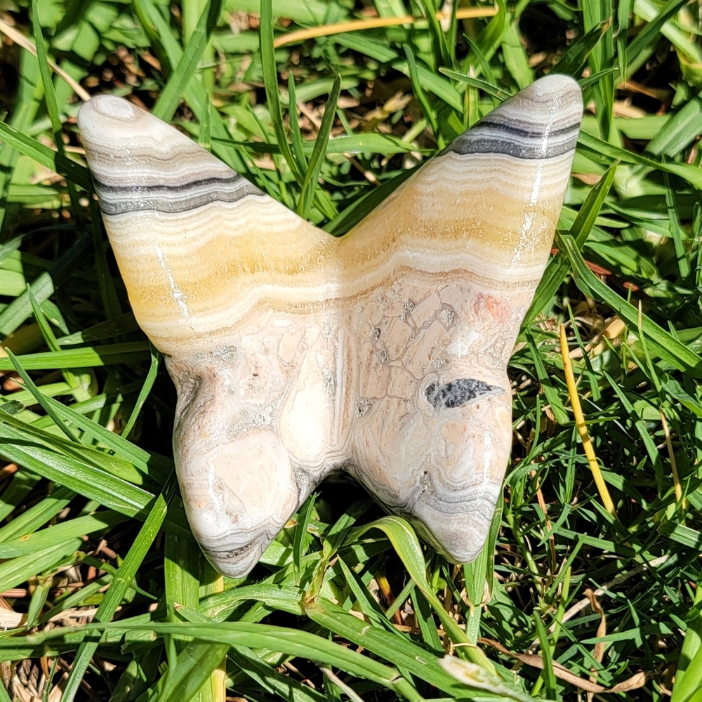 NEW 2.5" x 2.44" x 93g ORANGE CALCITE 3D BUTTERFLY